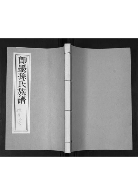 山东孙氏-孙氏族谱.pdf电子版缩略图
