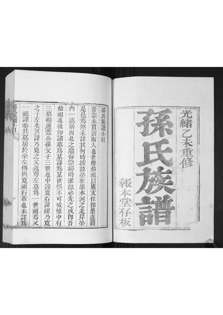 山东孙氏-孙氏族谱.pdf电子版预览图1