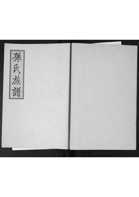 山东孙氏-孙氏族谱.pdf电子版缩略图