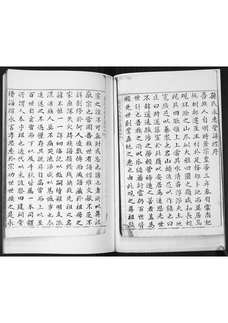 山东孙氏-孙氏族谱.pdf电子版预览图2