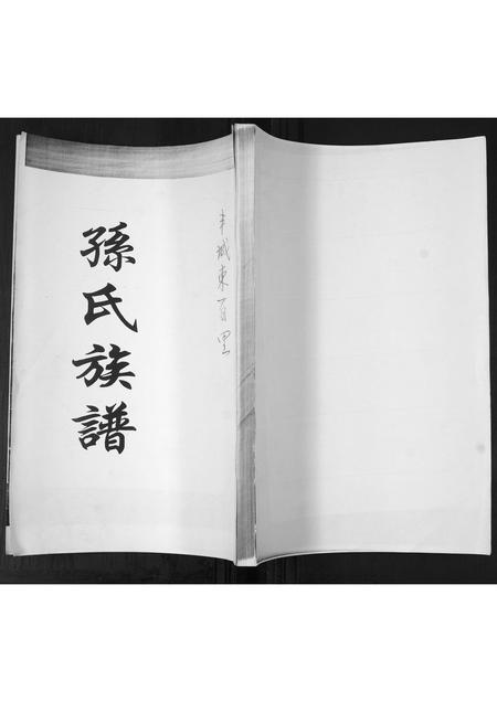 山东孙氏-孙氏族谱.pdf电子版缩略图