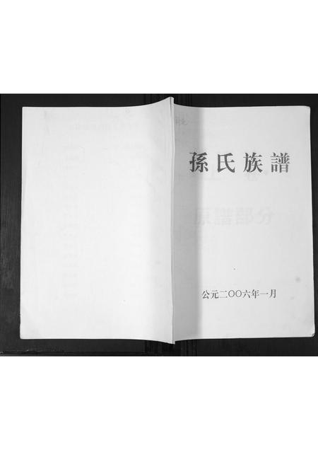 山东孙氏-孙氏族谱.pdf电子版缩略图