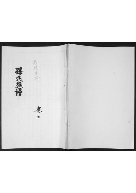 山东孙氏-孙氏族谱.pdf电子版缩略图