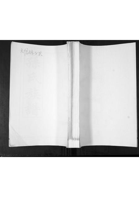 山东孙氏-孙氏族谱.pdf电子版缩略图