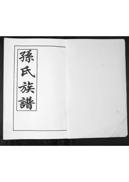 山东孙氏-孙氏族谱.pdf电子版预览图1