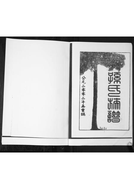 山东孙氏-孙氏族谱.pdf电子版预览图2