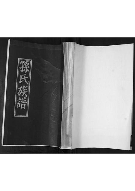 山东孙氏-孙氏族谱.pdf电子版缩略图