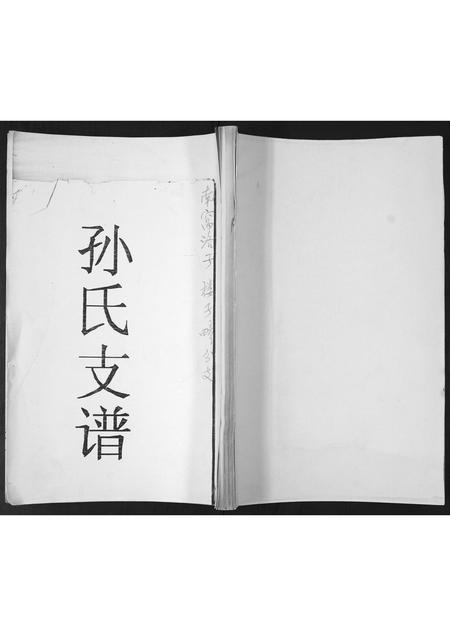 山东孙氏-孙氏族谱.pdf电子版缩略图