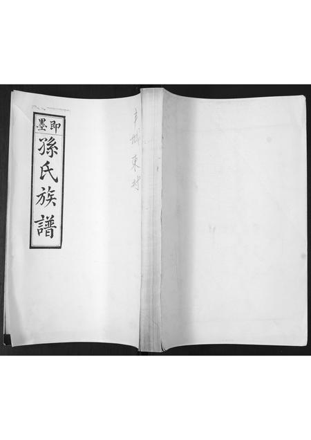 山东孙氏-孙氏族谱.pdf电子版缩略图