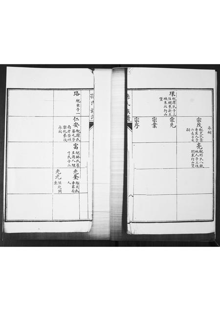 山东孙氏-孙氏族谱.pdf电子版预览图2