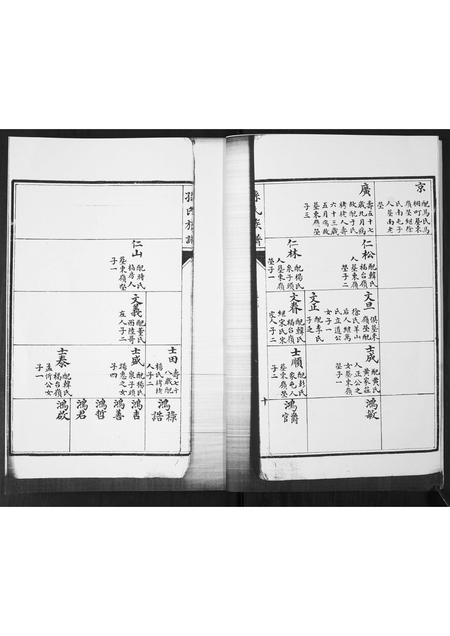 山东孙氏-孙氏族谱.pdf电子版预览图4