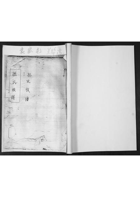 山东孙氏-孙氏族谱.pdf电子版缩略图