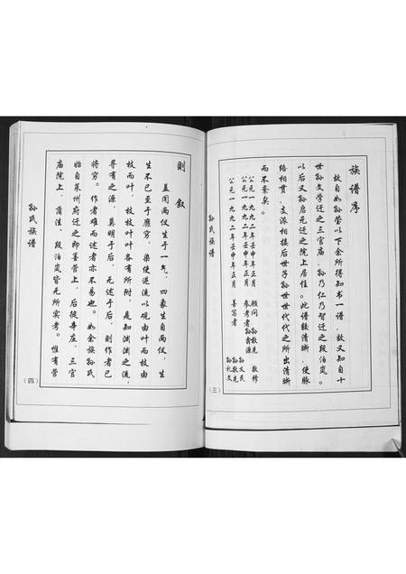 山东孙氏-孙氏族谱.pdf电子版预览图3