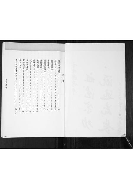 山东孙氏-孙氏族谱.pdf电子版预览图2