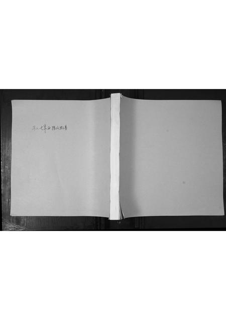 山东孙氏-孙氏族谱.pdf电子版缩略图