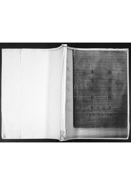 山东孙氏-孙氏族谱.pdf电子版缩略图