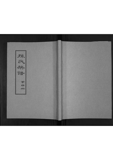 山东孙氏-孙氏族谱.pdf电子版缩略图