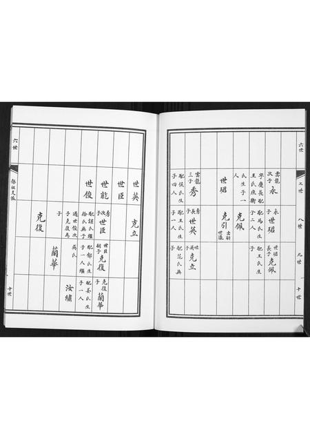 山东孙氏-孙氏族谱.pdf电子版预览图2