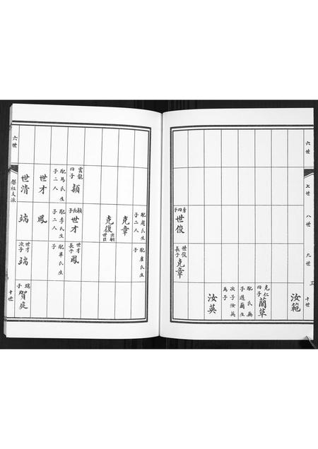 山东孙氏-孙氏族谱.pdf电子版预览图4