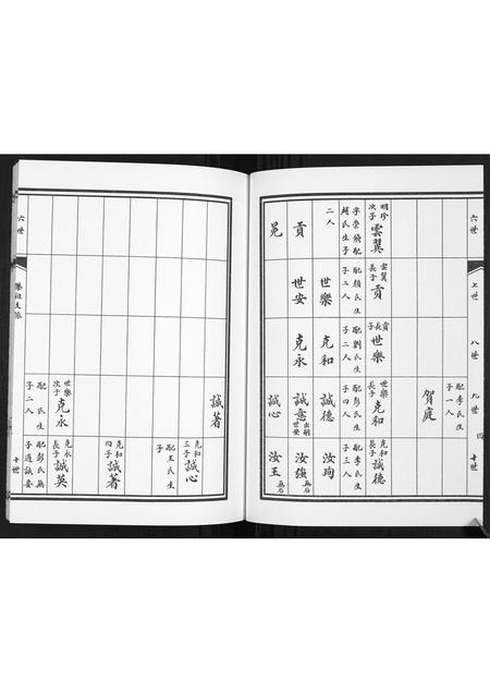 山东孙氏-孙氏族谱.pdf电子版预览图5