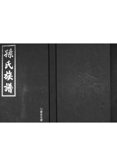 山东孙氏-孙氏族谱.pdf电子版缩略图
