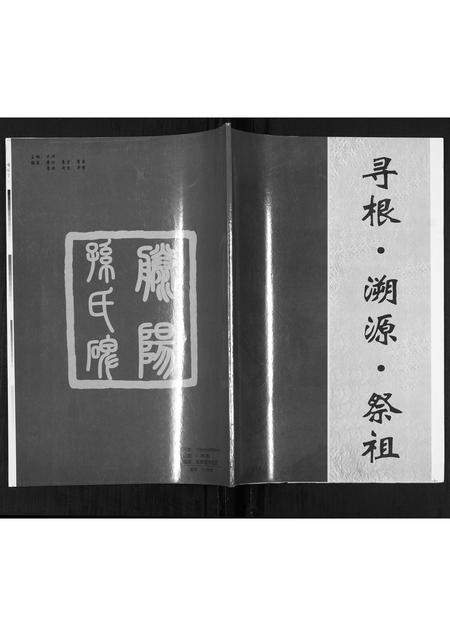 山东孙氏-孙氏族谱.pdf电子版缩略图