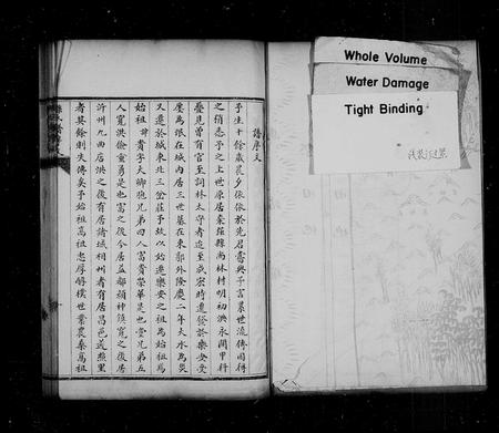 山东孙氏-孙氏族谱.pdf电子版预览图4