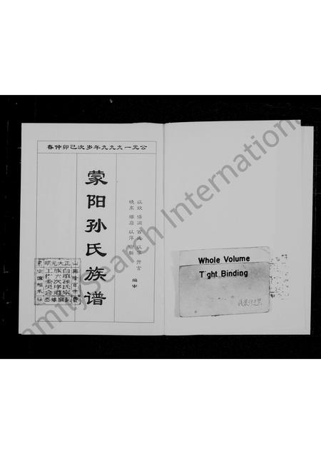 山东孙氏-孙氏族谱(别名：蒙阳孙氏族谱).pdf电子版预览图2