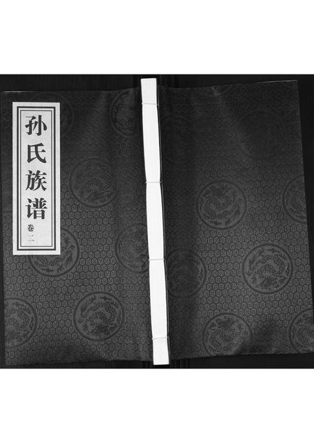 山东孙氏-孙氏族谱[2卷].pdf电子版缩略图