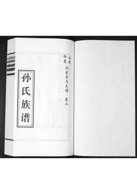 山东孙氏-孙氏族谱[2卷].pdf电子版预览图1