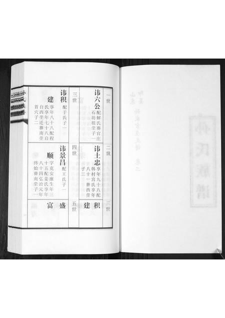 山东孙氏-孙氏族谱[2卷].pdf电子版预览图2