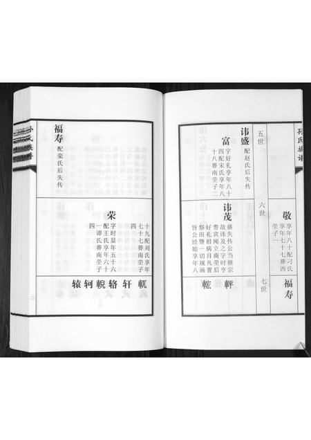 山东孙氏-孙氏族谱[2卷].pdf电子版预览图3