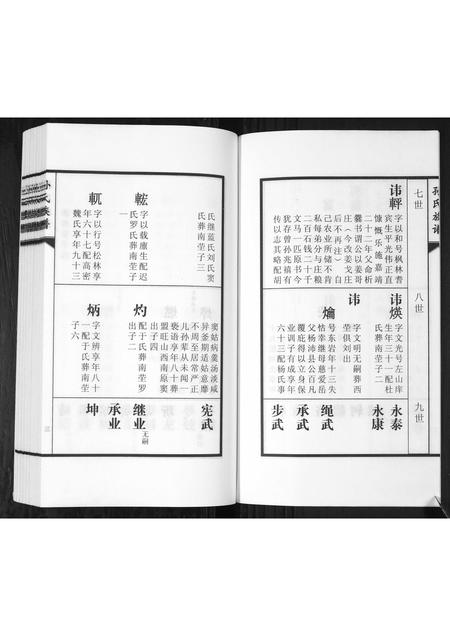 山东孙氏-孙氏族谱[2卷].pdf电子版预览图4