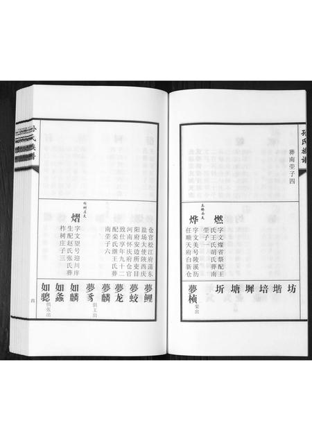 山东孙氏-孙氏族谱[2卷].pdf电子版预览图5