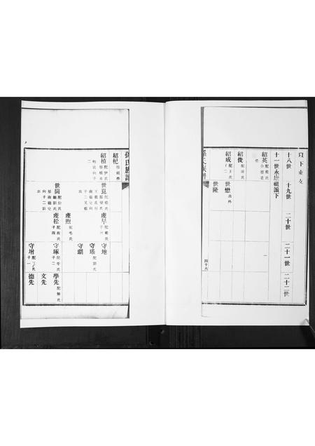 山东孙氏-孙氏族谱[2卷].pdf电子版预览图1