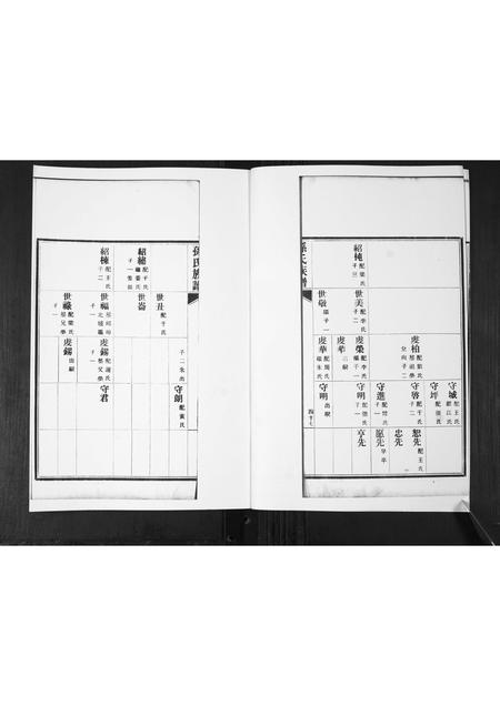 山东孙氏-孙氏族谱[2卷].pdf电子版预览图2