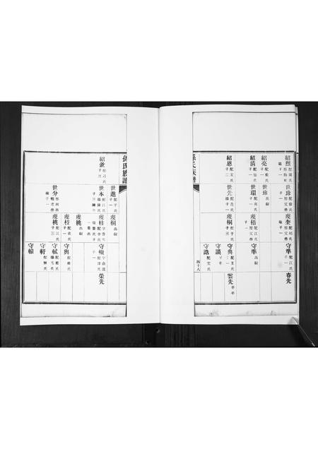 山东孙氏-孙氏族谱[2卷].pdf电子版预览图3