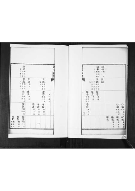 山东孙氏-孙氏族谱[2卷].pdf电子版预览图5