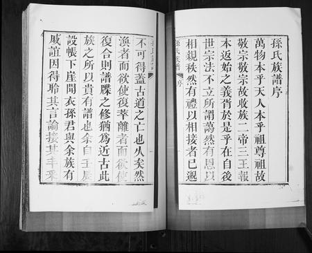 山东孙氏-孙氏族谱[4卷].pdf电子版预览图2