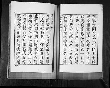 山东孙氏-孙氏族谱[4卷].pdf电子版预览图3