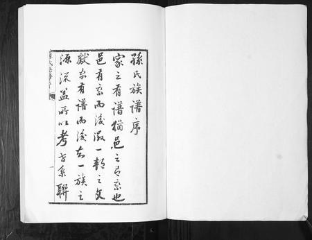 山东孙氏-孙氏族谱[4卷].pdf电子版预览图1