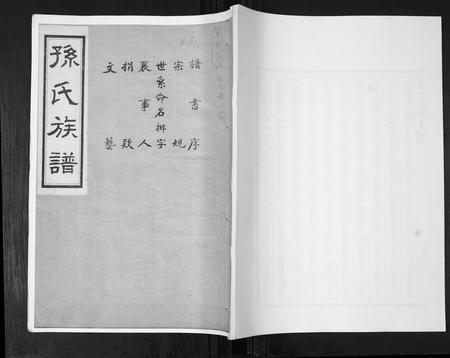 山东孙氏-孙氏族谱[不分卷].pdf电子版缩略图