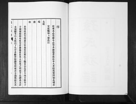 山东孙氏-孙氏族谱[不分卷].pdf电子版预览图2