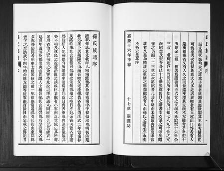 山东孙氏-孙氏族谱[不分卷].pdf电子版预览图3