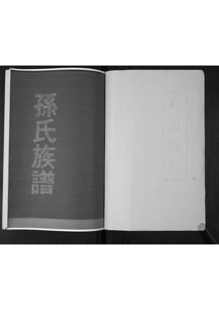 山东孙氏-孙氏族谱[不分卷].pdf电子版预览图1