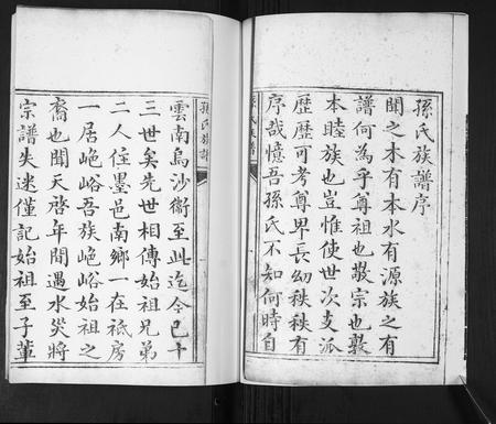 山东孙氏-孙氏族谱[不分卷].pdf电子版预览图2