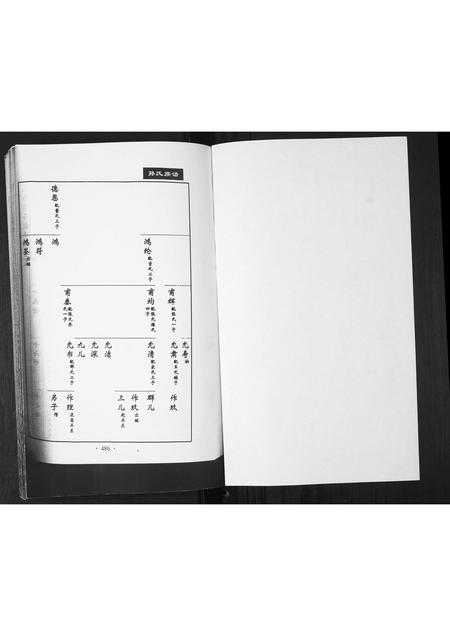 山东孙氏-孙氏族谱[不分卷].pdf电子版预览图1