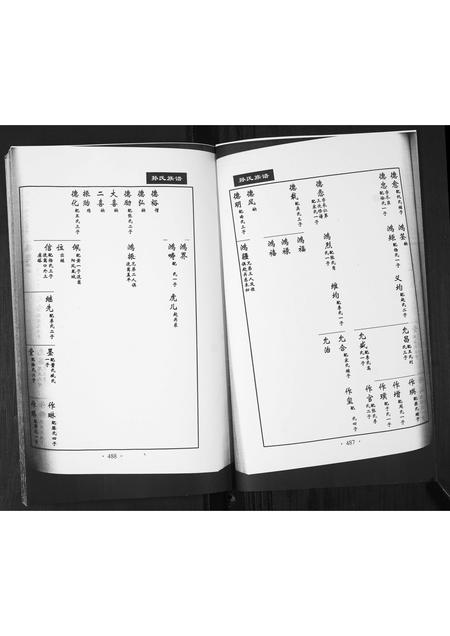 山东孙氏-孙氏族谱[不分卷].pdf电子版预览图2