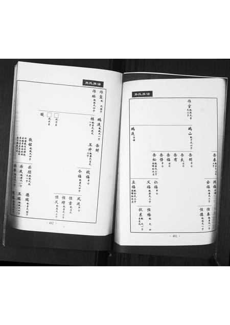 山东孙氏-孙氏族谱[不分卷].pdf电子版预览图4