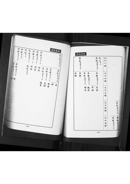 山东孙氏-孙氏族谱[不分卷].pdf电子版预览图5